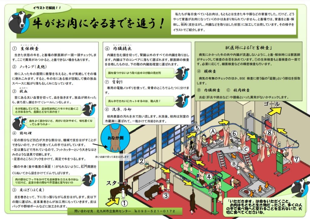 牛がお肉になるまで